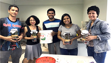 Compostagem1 373x212