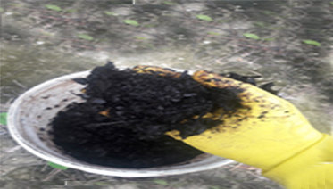 Compostagem4 373x212