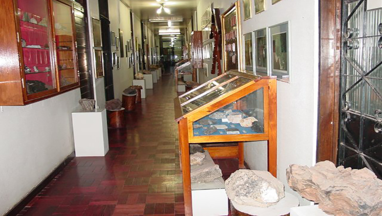 Museo de Geociências