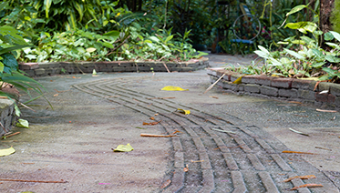 26.02.2019 Bosquinho FOTO NAYANA BATISTA 12 de 43