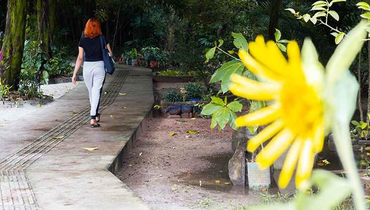 26.02.2019 Bosquinho FOTO NAYANA BATISTA 26 de 43
