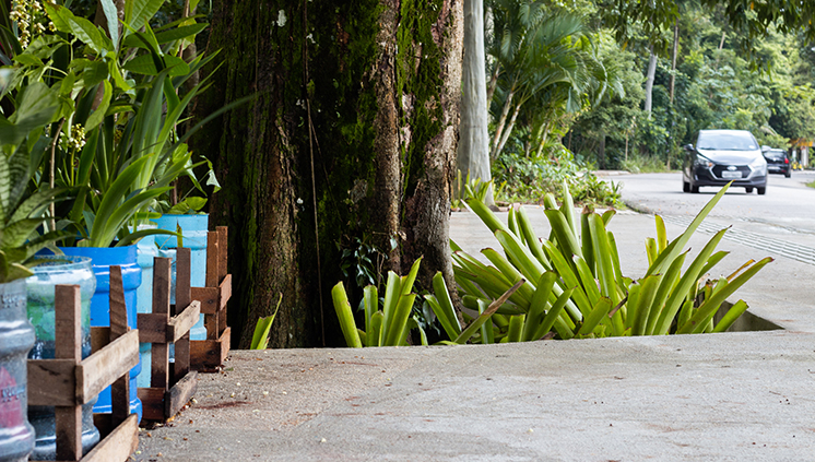 26.02.2019 Bosquinho FOTO NAYANA BATISTA 43 de 43