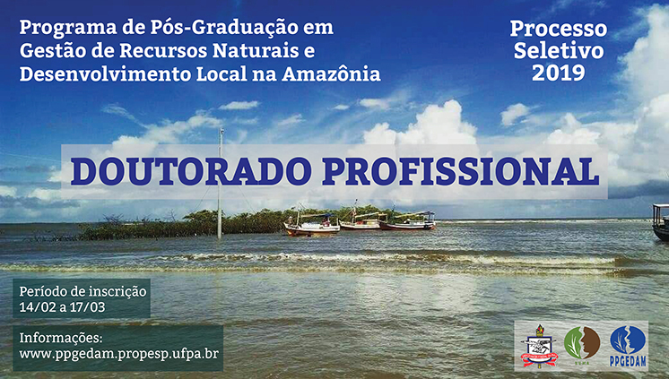 Seleção ppgedam 2019 doutoradosem borda