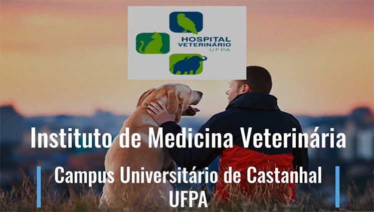 atendimento hospital veterinario ufpa