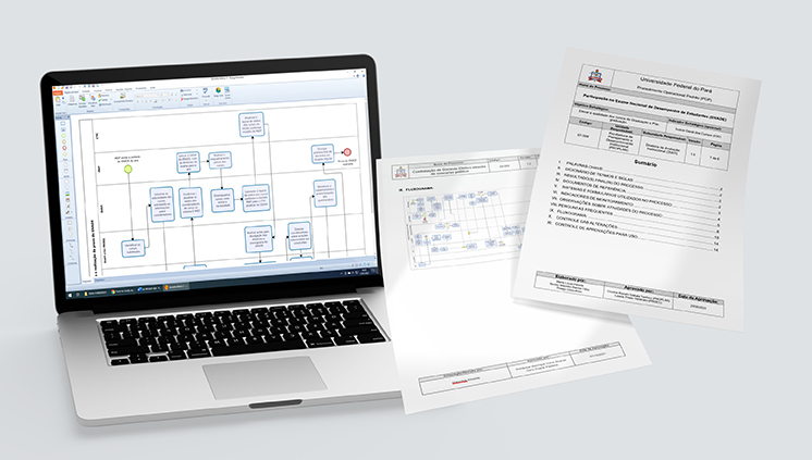 Imagem com fluxograma e POPs do mapeamento do processo do ENADE