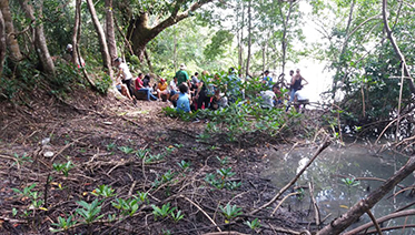 Trilha Carmena 2017 8