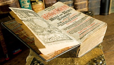 lutherhaus bibel